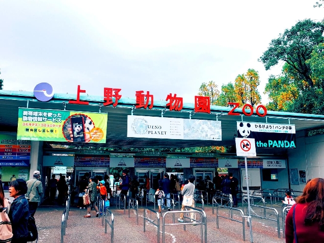 Чем занять ребенка в Токио