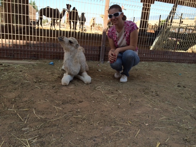 В Аль Айн за сказкой :)