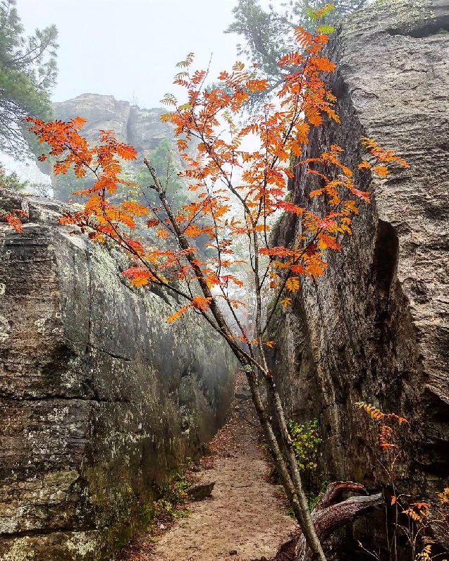 Каменный город + Этнопарк реки Чусовой