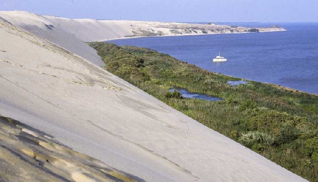 Танцующий лес и Песчаные дюны