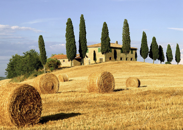 По винным дорогам Тосканы