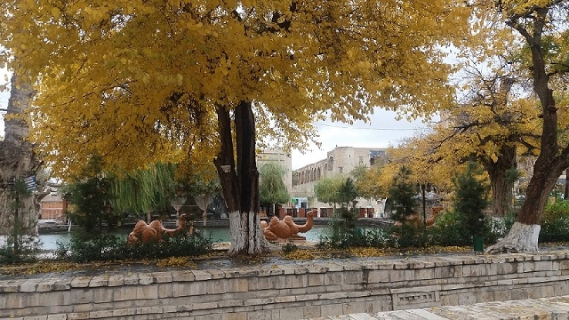 Экскурсия по древней Бухаре