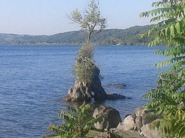 Пригороды. Брачано.Окунемся в Средневековье.