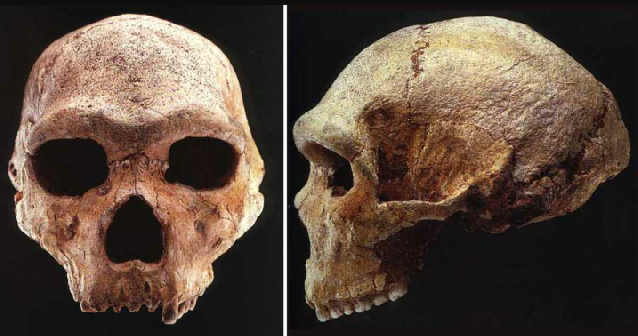 Пещера Петралона - в гости к древнему человеку