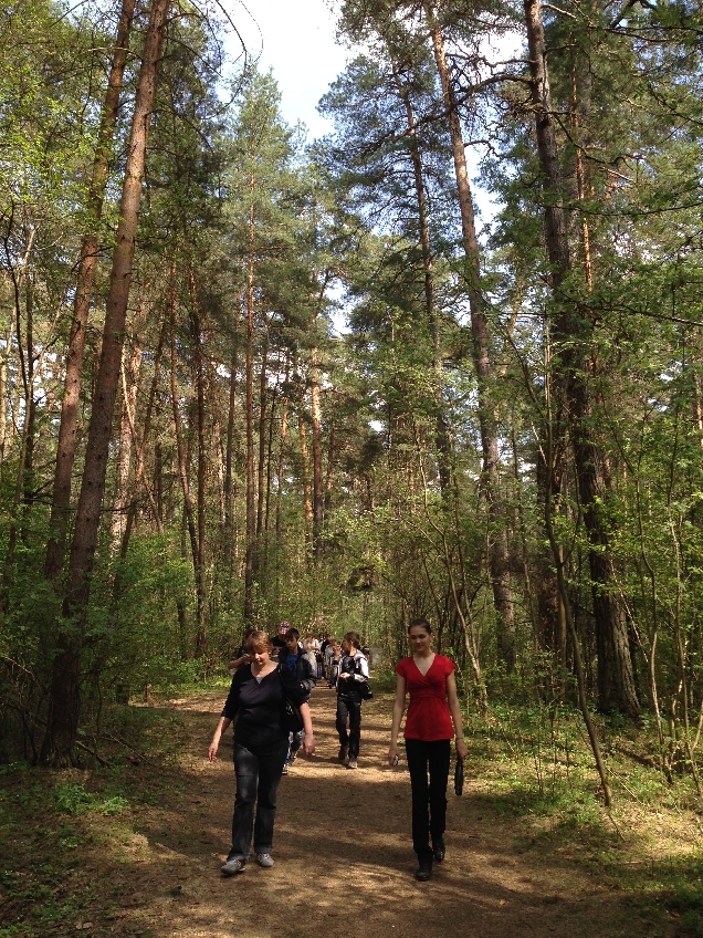 Калужский бор и музей ЛЕСНАЯ ФАНТАЗИЯ