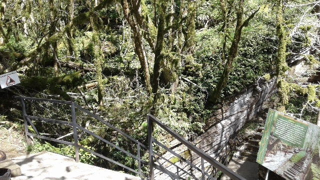 Путешествие в глубь веков