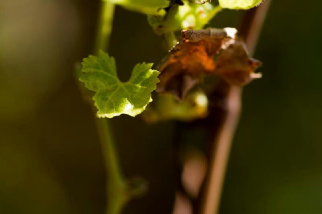 Сельхоз-Эко тур 