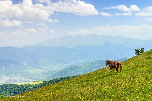 Классический тур на 7 дней!