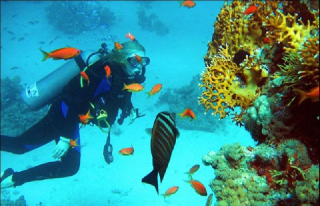 Дайвинг-курс PADI OPEN WATER DIVER