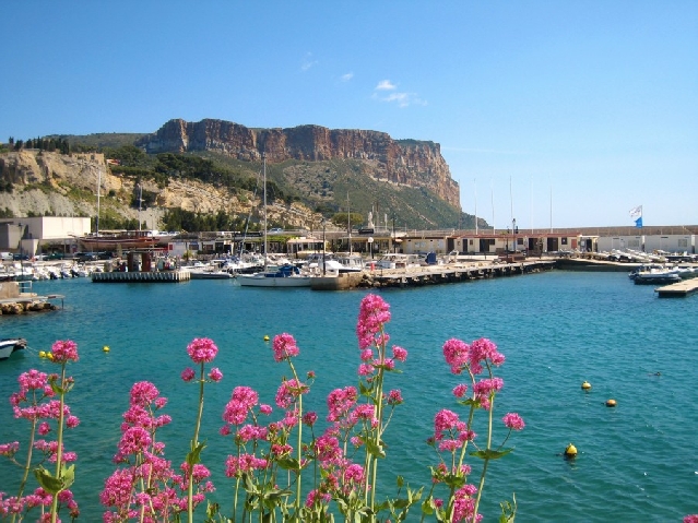 Кассис обзорная