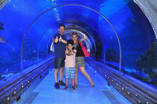 Грвнд Аквариум $25