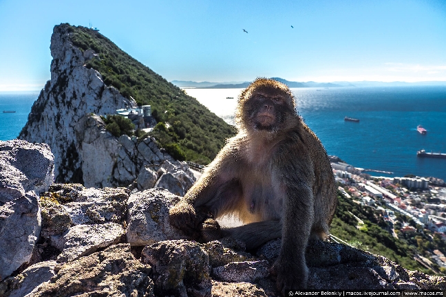 Загадочный Гибралтар