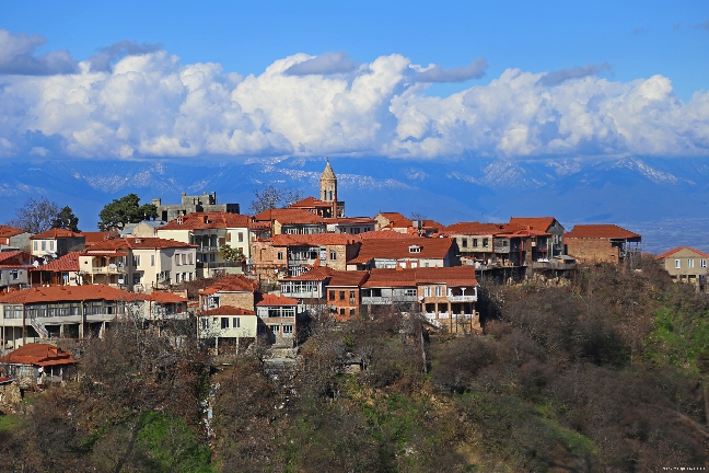 Винный и гастрономический тур в Кахетии