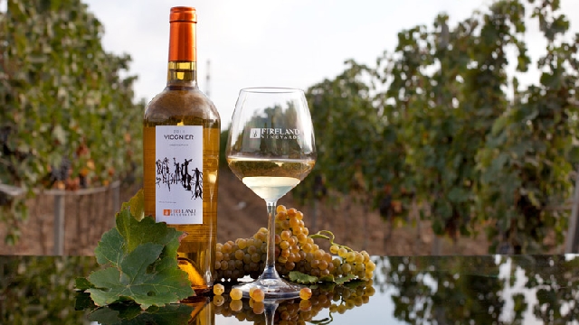 Посещение винодельни в поселке Новханы