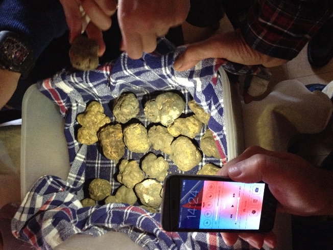 Трюфель и все, что с ним связано