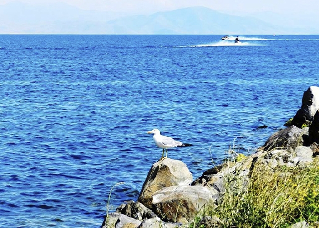 Ереван-Севан-Дилижан (Агарцин,Гошаванк)