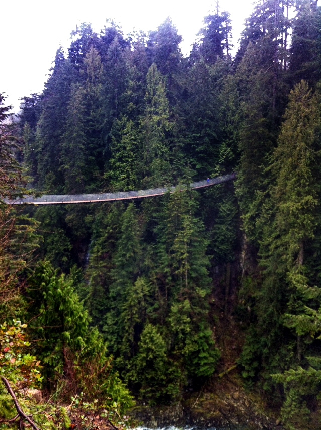 Обзорная по Ванкуверу и мост Капилано