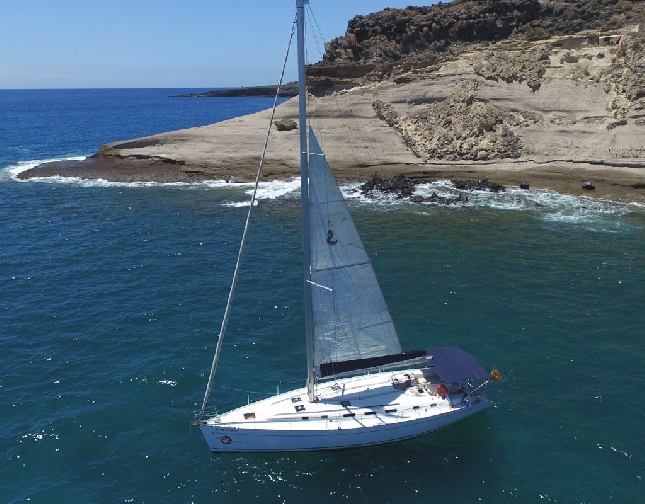 На встречу дельфинам и китам