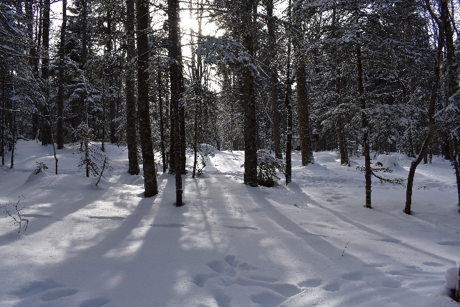 Высокогорные гонки на собаках 20.01.2018