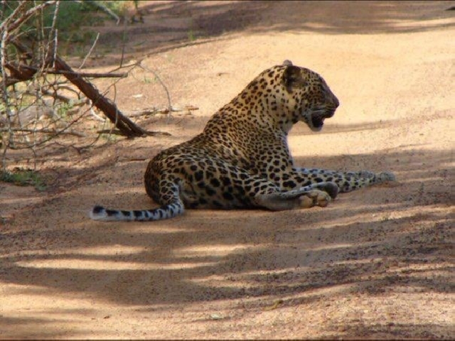 САФАРИ - ГАЛЛЕ двухдневная экскурсия 