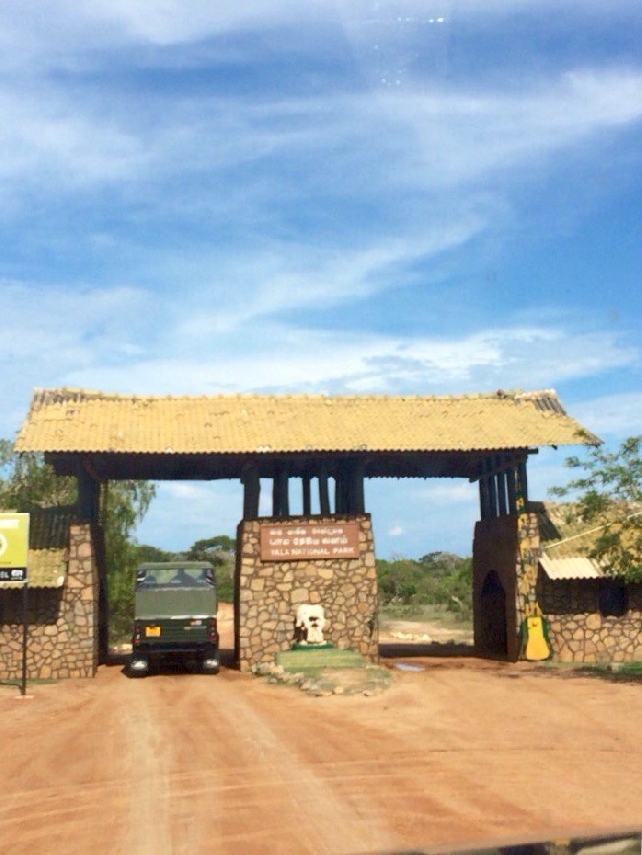 САФАРИ однодневная экскурсия 