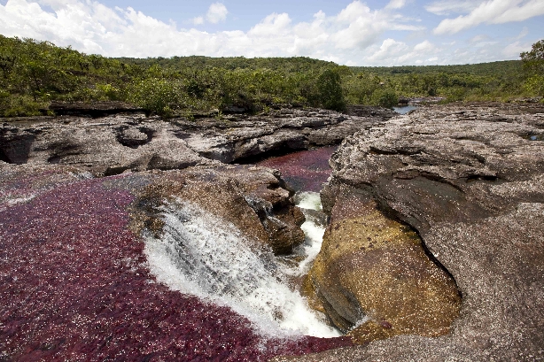 Семицветная река Каньо Кристалес