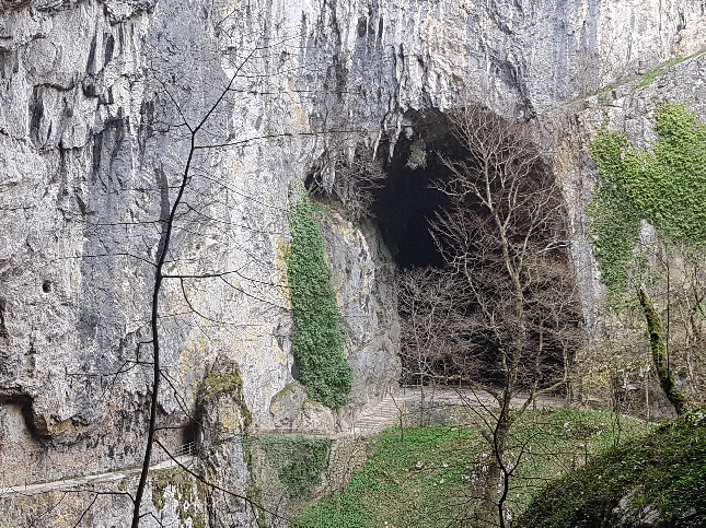 К морю на белом коне