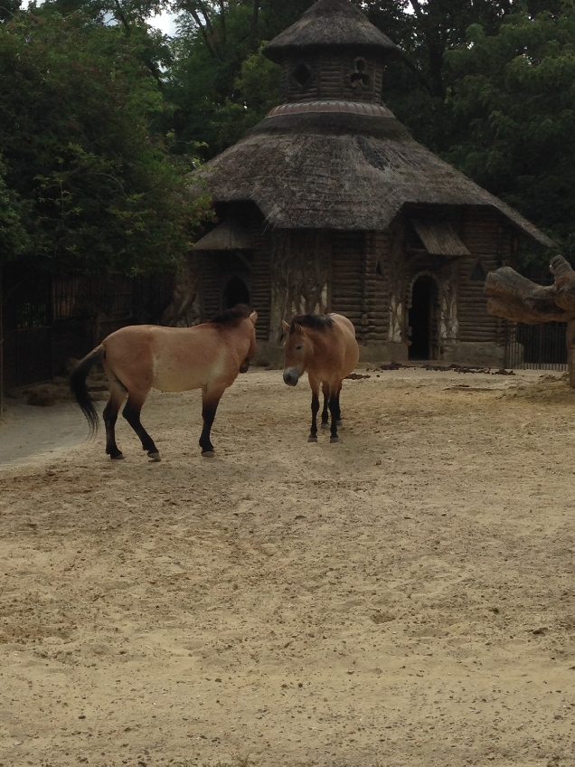 Экскурсия в Ботанический сад и Зоопарк с частным гидом