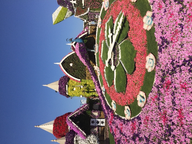 Экскурсия в Miracle Garden и Global Village Дубай (5 часов)