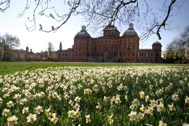 Дворец  Раккониджи