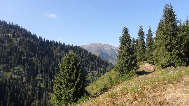 Качели в горах Алматы