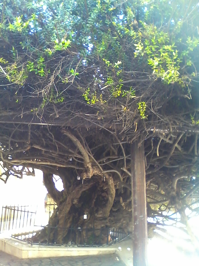 По стопам Апостола Павла