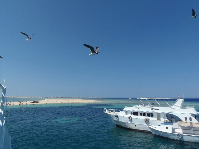 СУПЕР УТОПИЯ