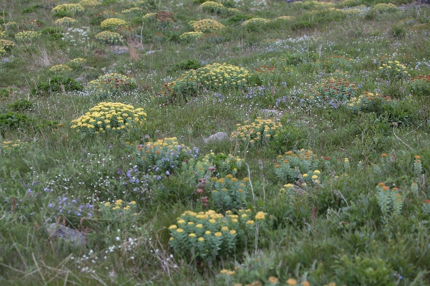 Экопутешествия по Кольскому