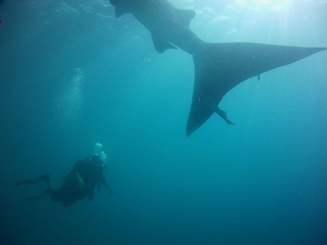 Дайвинг и Гидроциклы из Муйне