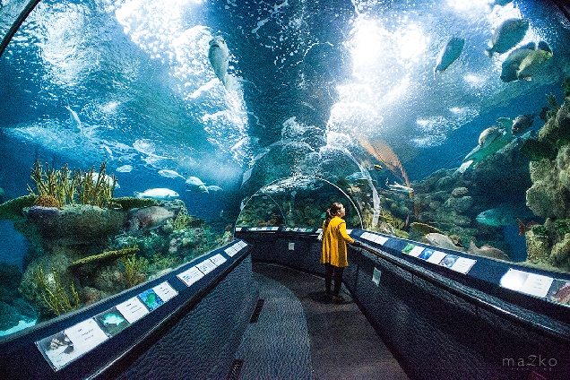 Шанхай для юных путешественников