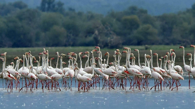 Озеро КЕРКИНИ или ЭКОтур