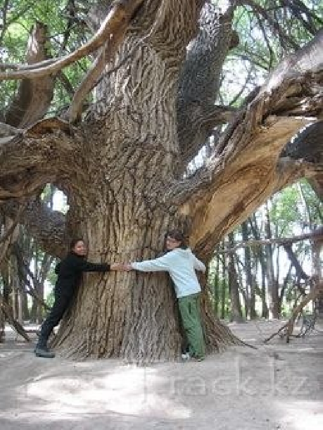 Национальный парк Алтын Емель