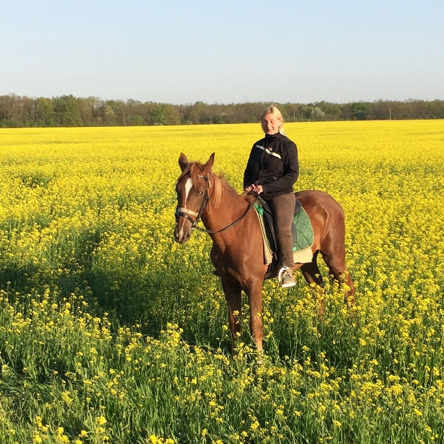 На горизонте кто? Кентавры или амазонки?