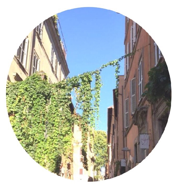 ГРУППОВАЯ ЭКСКУРСИЯ РИМСКИЕ ЗАМКИ