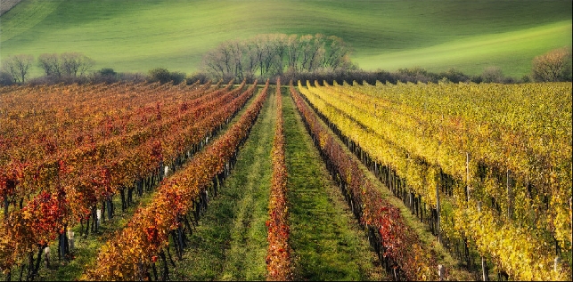 Моравия. Другая Чехия