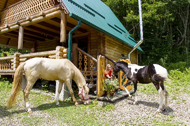 ВЕЛИКИЙ ЛЕС!