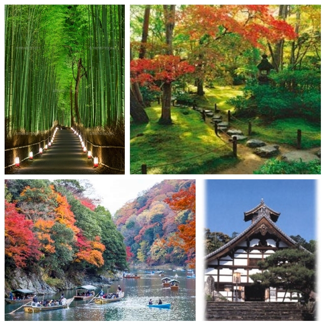 Завораживающие красоты Арасиямы.