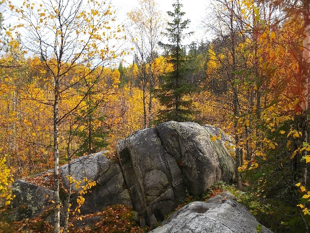 КАРЕЛИЯ. ВОТТОВААРА