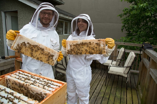 Пчелинная ферма 