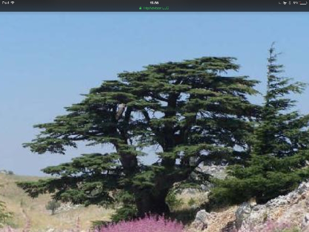 Дейр  Камар , Бейт Эддин , кедровый заповедник Барук, водопады Бааклин