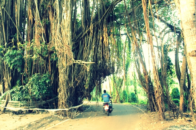 Шанти тур по ГОА