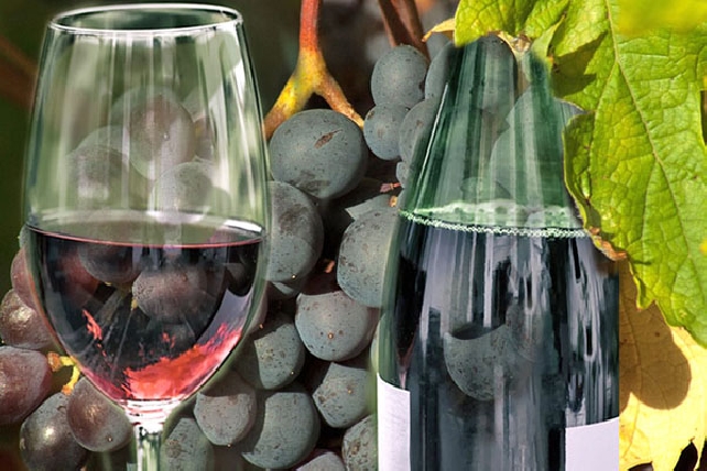 Поездка на винодельню