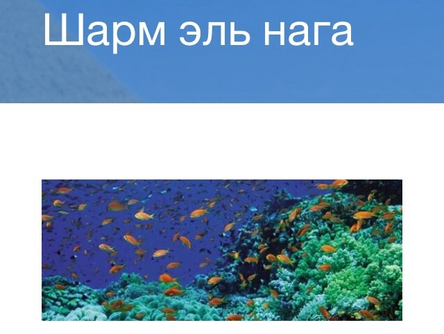 Шарм эль Нага 40$