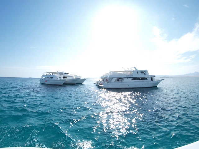 Остров Парадайс 35$